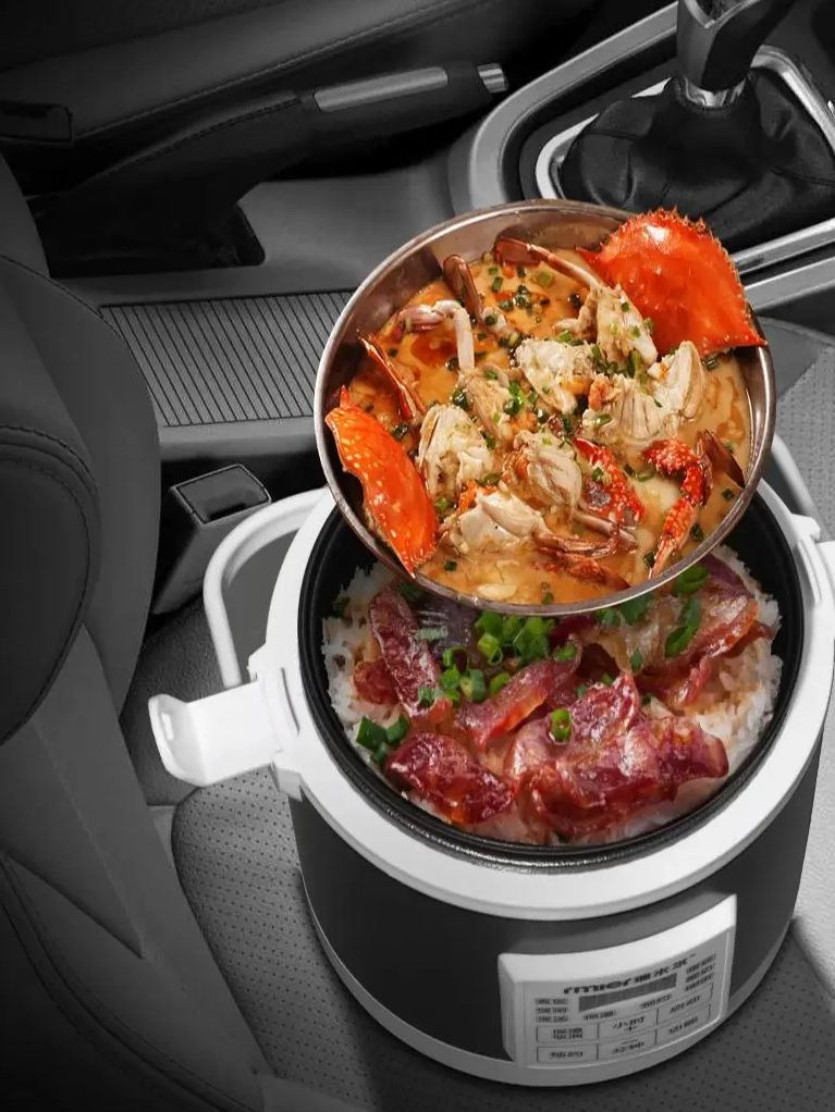 ARIER 12-24V 220V Panela de Ar - Camping Cooking Rice avaliação e preço